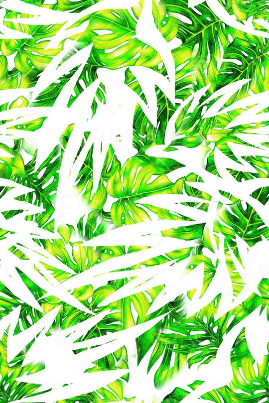 泳装印花花型图片