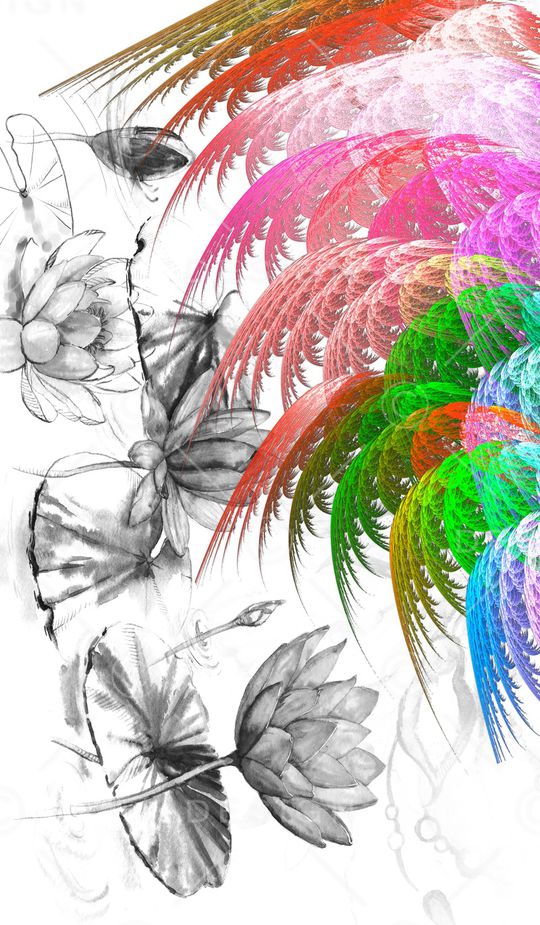 黑白印花花型图片