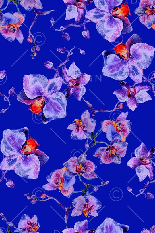 宝蓝印花花型图片