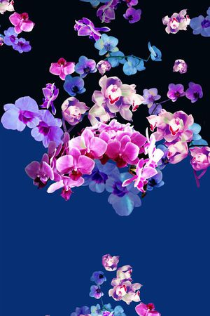 花朵印花花型图片