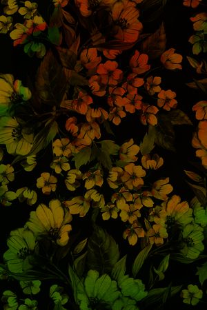 花朵印花花型图片