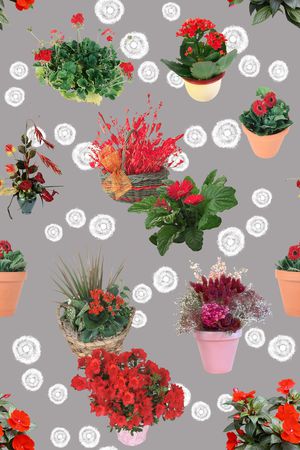 花朵印花花型图片