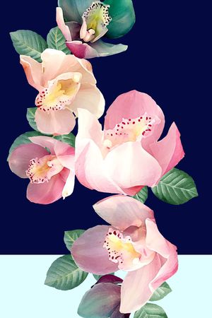 兰花印花花型图片
