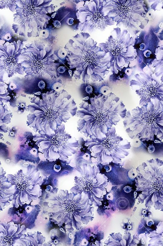 花朵印花花型图片