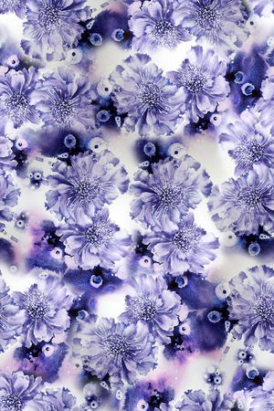 花朵印花花型图片