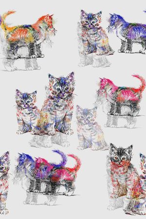 手绘猫印花花型图片