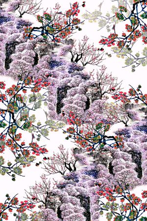 女装印花花型图片