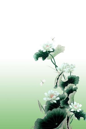 Fei-女装印花花型图片