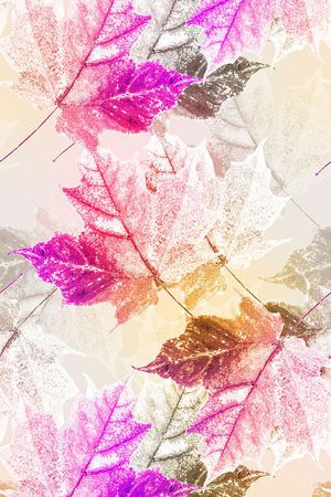 热带印花花型图片