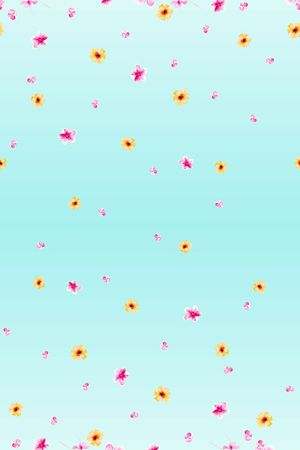 女装印花花型图片