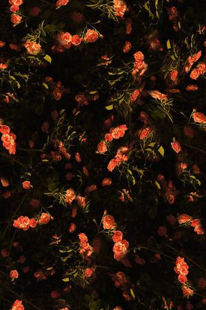 花卉印花花型图片