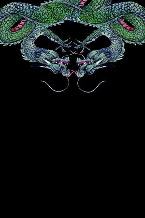 男装T桖胸花印花花型图片