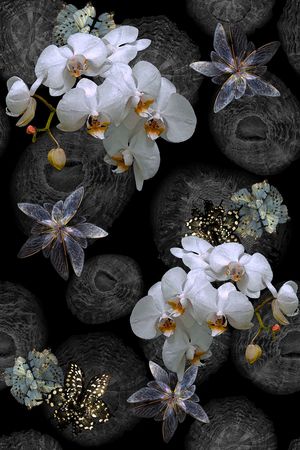 民族风印花花型图片
