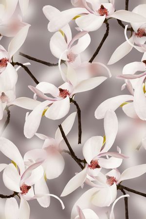 抽象手绘水彩画3D花卉数码印花印花花型图片