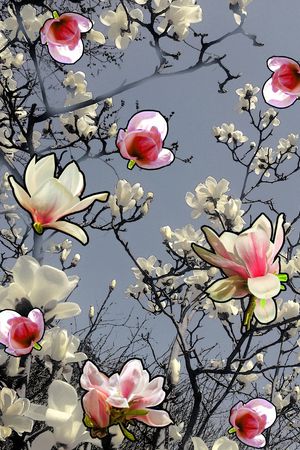 民族风印花花型图片