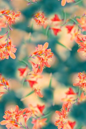 抽象手绘水彩画植物树叶数码印花印花花型图片