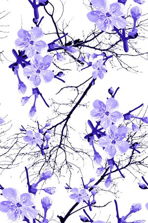 血红印花花型图片