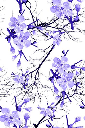 728644-花和枝 蓝紫
