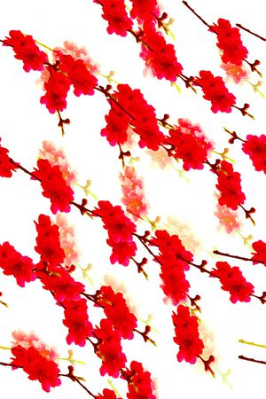 血红印花花型图片