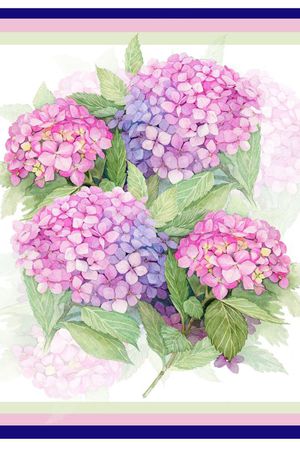 丝巾印花花型图片