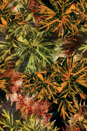 棕榈叶印花花型图片