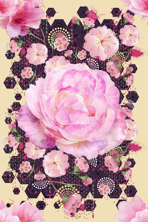女装印花花型图片