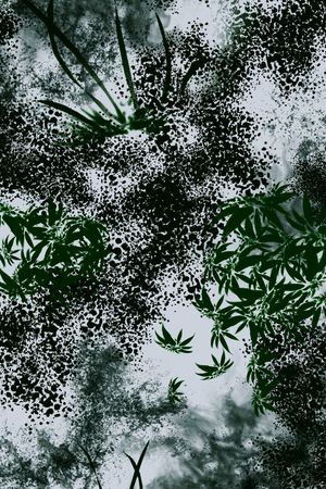 水墨印花花型图片