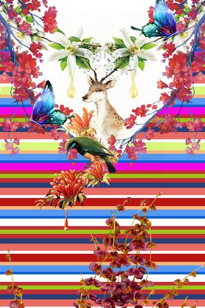 花鸟印花花型图片