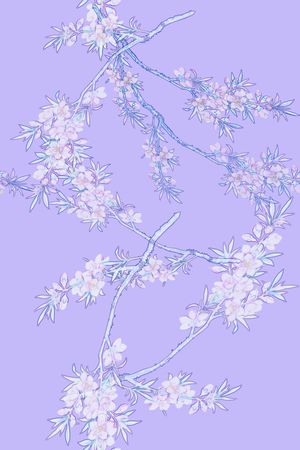 血红印花花型图片