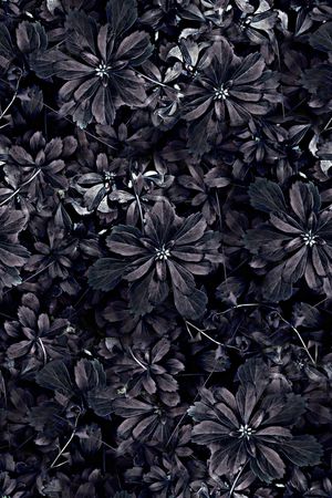 抽象手绘几何花朵花卉纹理数码印花印花花型图片