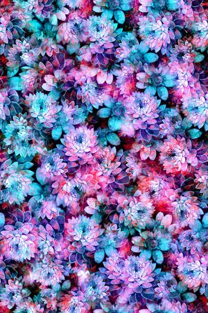 花卉印花花型图片