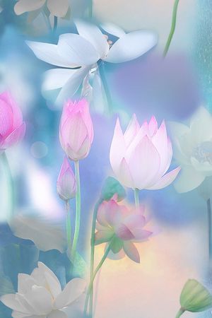 民族风印花花型图片