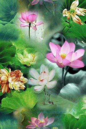 中国风印花花型图片