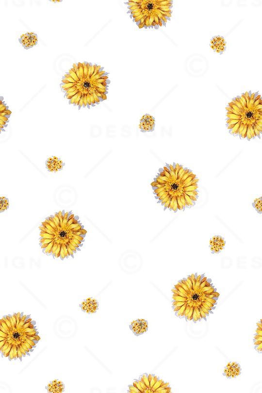 花朵印花花型图片
