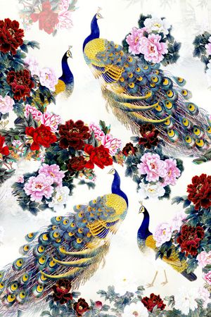 女装印花花型图片