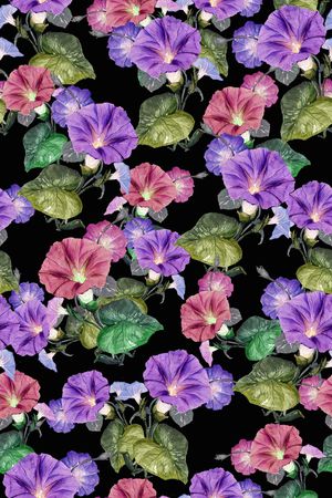 牵牛花印花花型图片