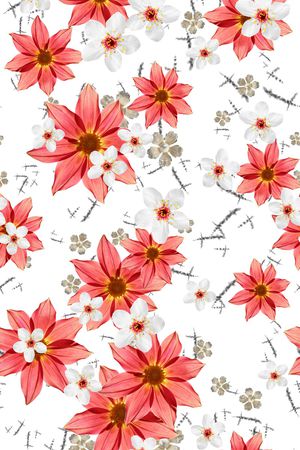 女装-四方连续-上半年印花花型图片