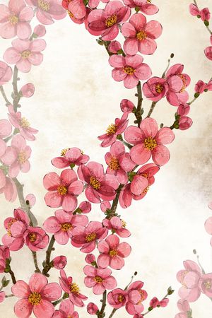 优雅印花花型图片