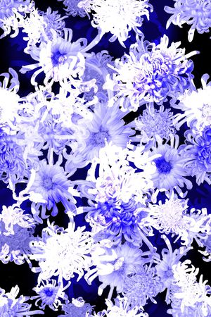 女装印花花型图片