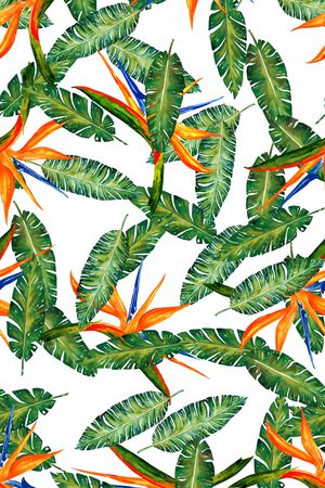 数码花卉类印花花型图片