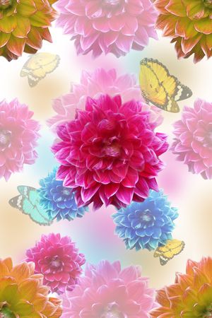 蝴蝶印花花型图片