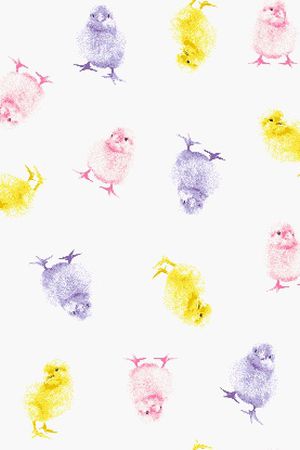 小鸡印花花型图片