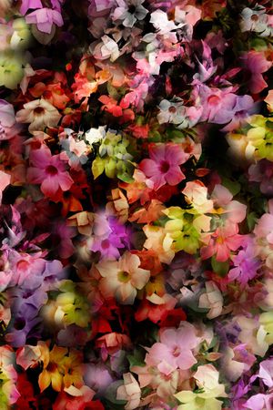 蒲公英印花花型图片