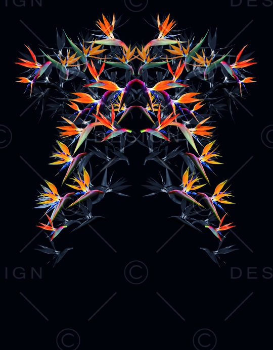 胸花图案印花花型图片