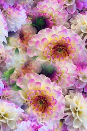 优雅花卉印花花型图片