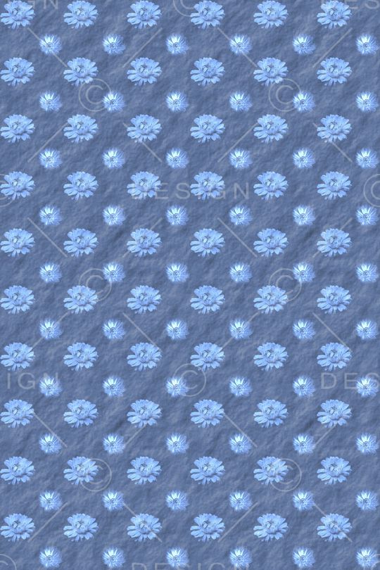 雏菊印花花型图片