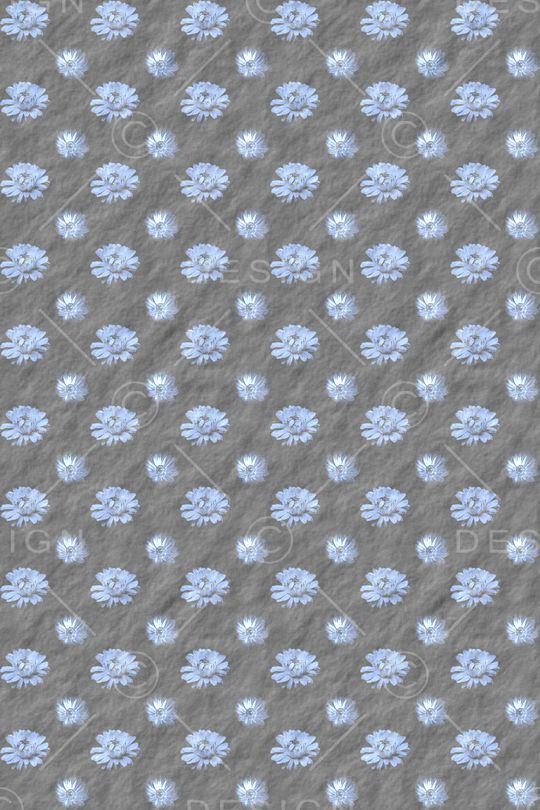 雏菊印花花型图片