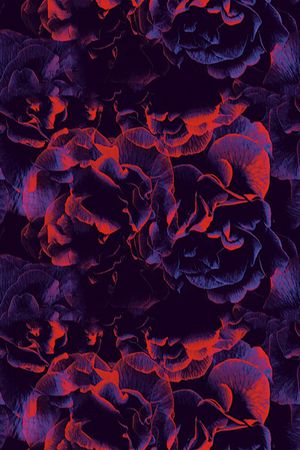 乱花印花花型图片