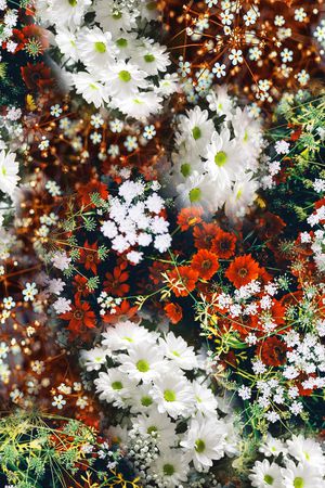 花卉印花花型图片