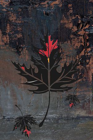 T恤印花花型图片